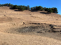 tiger salamander habitat