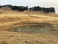 tiger salamander habitat