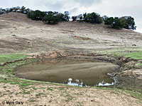 tiger salamander habitat