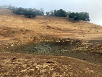 tiger salamander habitat