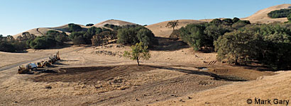 tiger salamander habitat