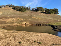 tiger salamander habitat