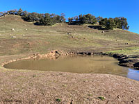 tiger salamander habitat