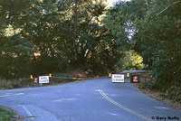 California Newt sign