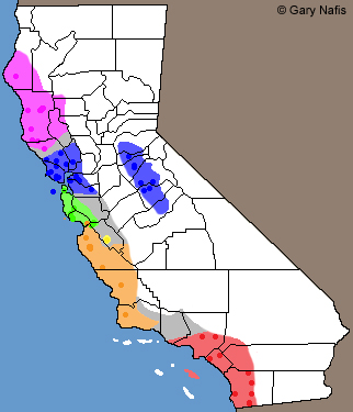 Arboreal Salamander Range Map