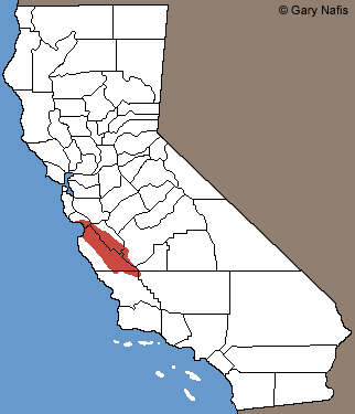 Gabilan Mountains Slender Salamander Range Map