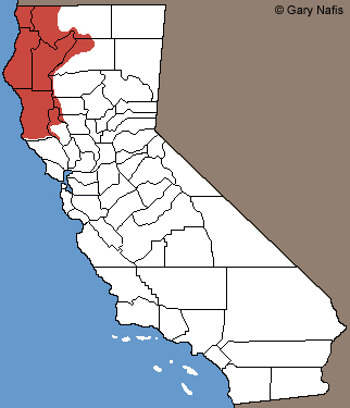 Coastal Giant Salamander Range Map