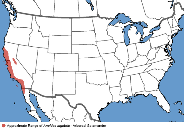 Full Species Range Map