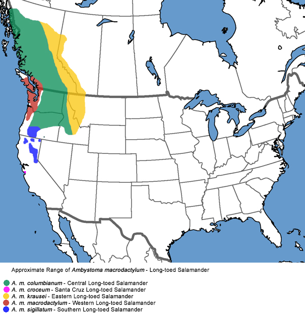 Full Species Range Map