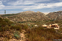 california kingsnake habitat