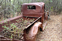 southern pacific rattlesnake habitat