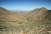 Mohave Shovel-nosed Snake Habitat