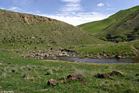 california kingsnake habitat