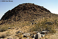 Northern Mohave Rattlesnake Habitat