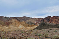 Panamint Rattlesnake Habitat