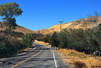 California Nightsnake Habitat