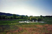 california kingsnake habitat