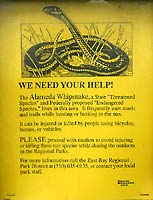 Alameda Striped Racer Sign