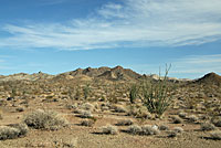 Great Basin Gopher Snake Habitat