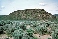 great basin rattlesnake habitat