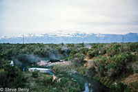 great basin rattlesnake habitat