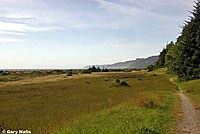 Valley Gartersnake Habitat