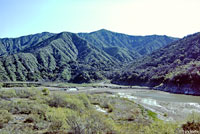 Southwestern Threadsnake Habitat