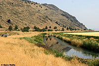 Klamath Gartersnake Habitat