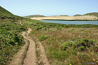 California Red-sided Gartersnake Habitat