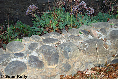 Speckled Rattlesnake