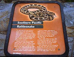 rattlesnake sign