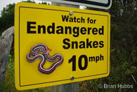 San Francisco Gartersnake sign