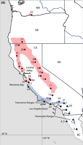 L.zonata/L.multifasciata range map