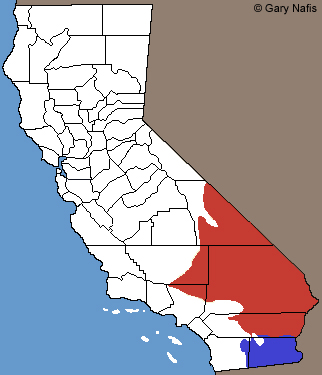 Shovel-nosed Snakes Range Map