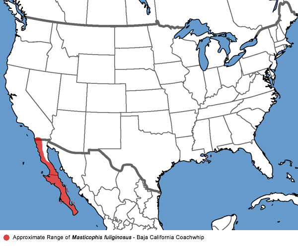 Full Species Range Map