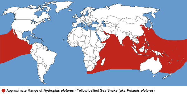 Full Species Range Map