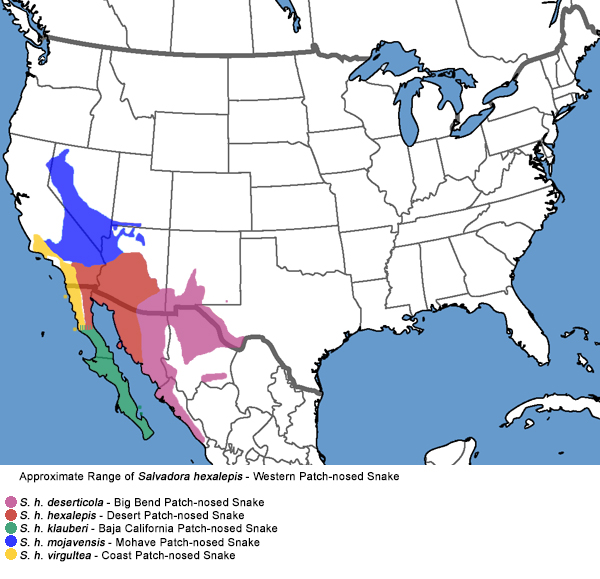 Full Species Range Map