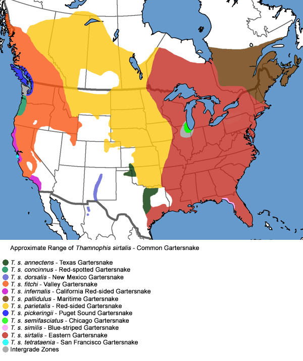 Full Species Range Map