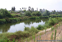 Texas Spiny Softshell Habitat