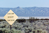 Desert Tortoise Sign