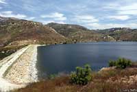 Western Painted Turtle habitat