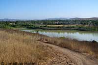 Eastern Snapping Turtle Habitat