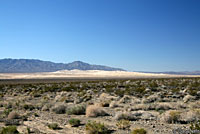 Desert Tortoise Habitat