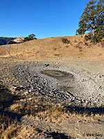 Pacific Pond Turtle Habitat