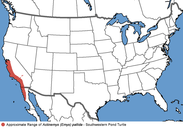 Full Species Range Map