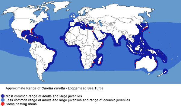 Full Species Range Map