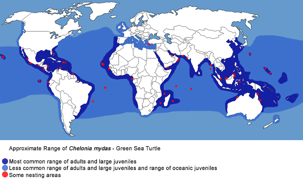 Full Species Range Map