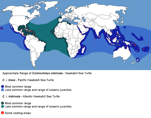 Full Species Range Map