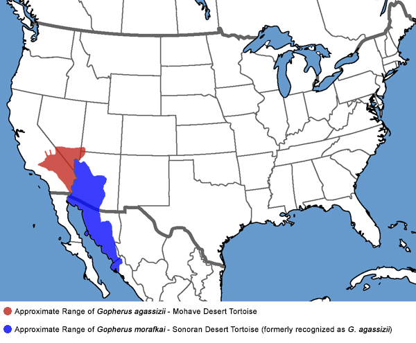 Full Species Range Map