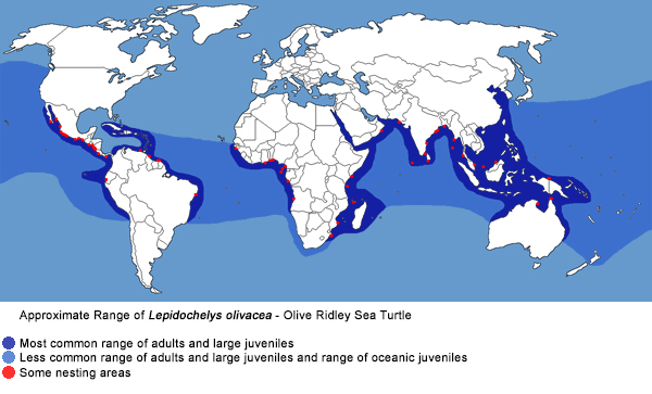 Full Species Range Map